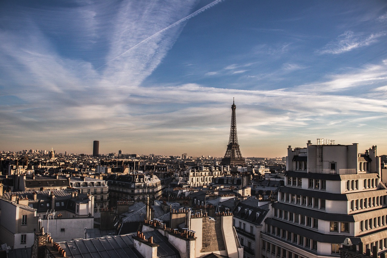 paris, eiffel tower, roof-4119828.jpg